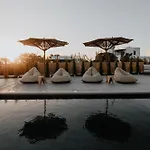 فيلة Onym Curated