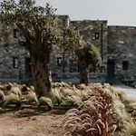 Onym Curated فيلة