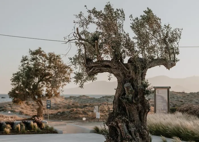 Onym Curated Villa Pláka