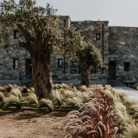 Onym Curated וילה