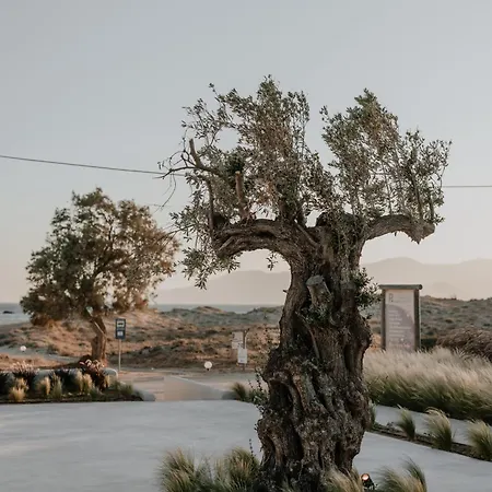 Onym Curated Villa Pláka