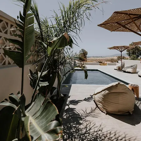 Villa Onym Curated *