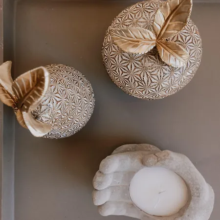 Onym Curated فيلة Pláka