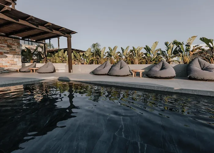 Willa Onym Curated *